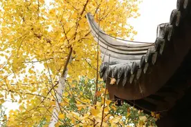 这些与“五”有关的文化常识你一定要知道，快替孩子收藏吧图片