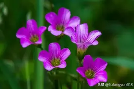 人到中年，这些人不要再联系了，毫无意义图片