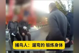 非法狩猎鸟类100只，真刑啊！图片