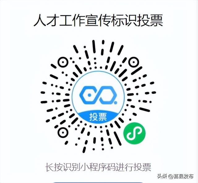 开始投票!