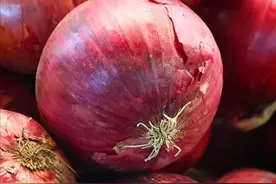 洋葱在中餐里没有地位，没有辣椒番茄重要，而西餐却离不开洋葱图片