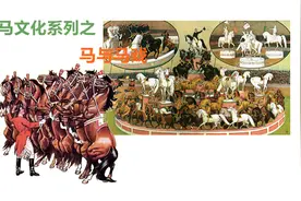 聊聊马戏之马图片