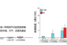 肌肉酸痛来自“乳酸堆积”？乳酸背了一百年的黑锅图片