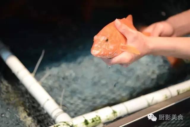 40头的花胶是几级 2025年花胶40头是什么意思?