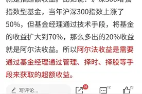 盈利分为二个，一个叫阿尔法，一个叫贝塔图片