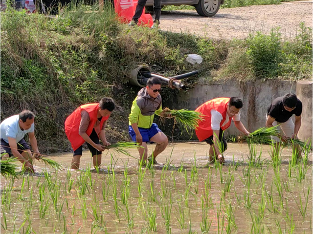 四川省民生研究会新媒体中心-官网