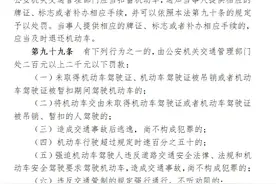 【案例评析】交通违法中的寻衅滋事行为如何定性处罚图片