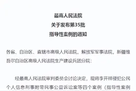 第四次！湖南法院这一案例入选最高人民法院指导性案例图片