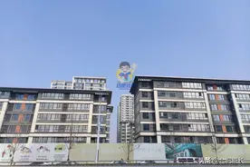 滨湖区省府东板块现在人气怎么样了？实探保利招商0506两个纯新盘图片