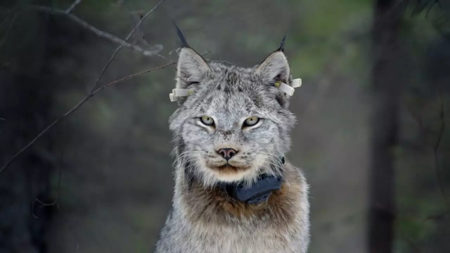 暑期强烈推荐！5部高分纪录片，知识点满满，一定要带孩子看