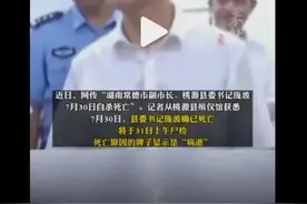 庞波去世之谜：湖南常德副市长的死因迷雾待解究竟是什么？图片