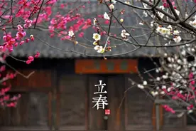 美得令人窒息的二十四节气图图片