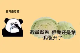 有出单的产品，亚马逊类目排名突然没有了，是什么原因？图片