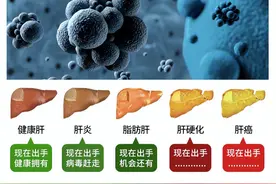 熬夜、加班、酗酒、脂肪堆积？维力特的奶蓟草为你保驾护航图片