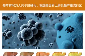 熬夜、加班、酗酒、脂肪堆积？维力特的奶蓟草为你保驾护航图片