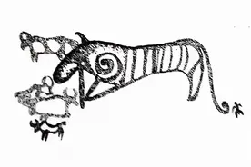 青海曾经有虎？图片