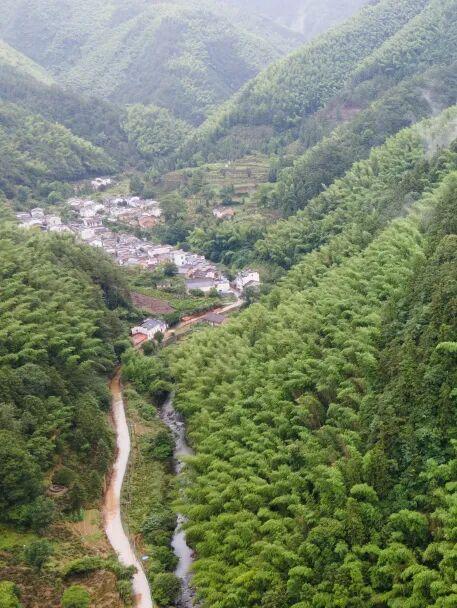 黄山奇遇记：冬观候鸟，野探短尾猴，一场徒步自然的探索之行