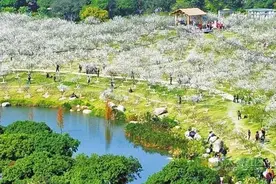 广东这个城市真的很阔绰，如此多的景点都免费图片