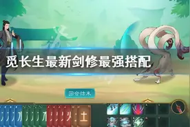 《觅长生》最新剑修最强搭配 剑修功法搭配玩法图片