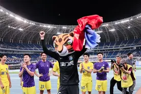 中超半程总结模式篇：津门虎稳定新生背后，是市里全面保障图片
