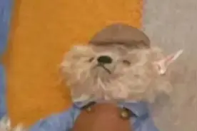 一些可爱狗狗表情包合集图片