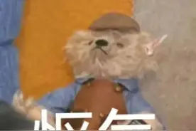 一些可爱狗狗表情包合集图片