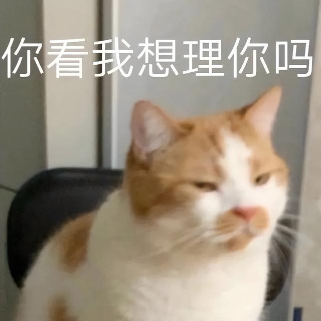 累了毁灭吧表情包