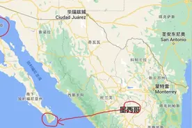 去下加（los cabos）看鲸鱼咯图片