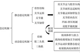 肩关节不稳与SLAP损伤联系的研究进展图片
