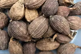 作为调料五香之一的草果，你了解它的前世今生和使用技巧吗？图片