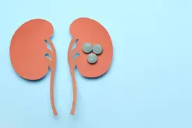 尿频、尿急、尿痛，泌尿系感染反复发作？用好三“金”，护肾利尿图片