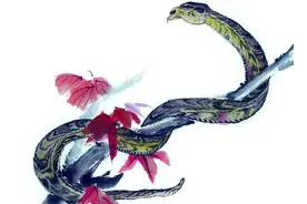 蛇吃黄鳝有危险？黄鳝有多厉害，让蛇都“怕”它？科学解析其奥秘图片