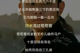 刀郎新歌罗刹海市惹争议，疑似歌词暗讽某节目四位导师。图片