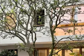 她在上海打拼多年，回农村建4层别墅，兄弟成团，与父母一起养老图片