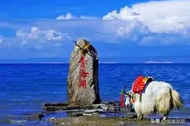 我国最大的湖泊——青海湖，湖中的鱼却又少又小，这是为何？图片