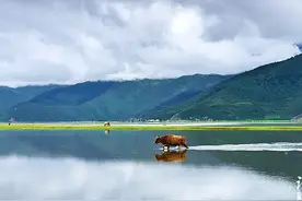 为人的最高境界：人下不卑，人上不傲，人前不炫，人后不议图片