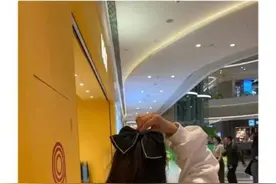 一只美丽的黑蝴蝶图片