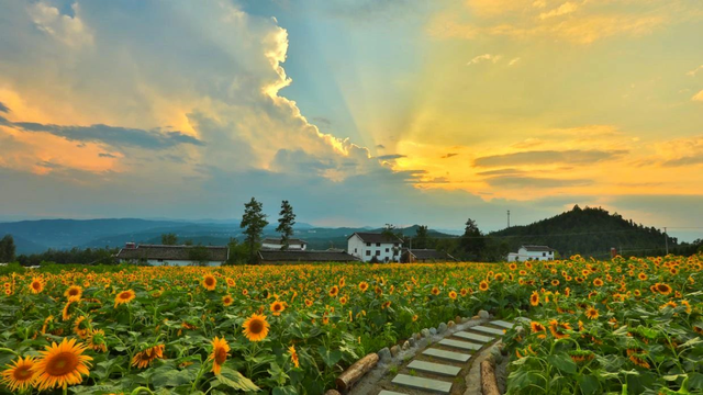 四川省民生研究会新媒体中心-官网