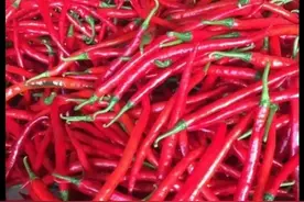 辣椒原产地不来自于我们国家，你知道它的原产国是哪个国家吗？图片