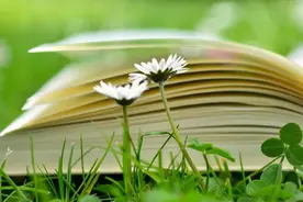 做有深度、有态度、有温度、有气度的青年审计人图片