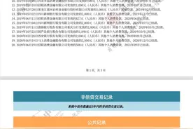 征信报告的详细讲解实用技巧图片