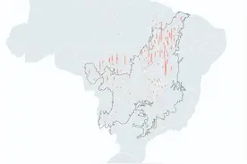 导致巴西森林砍伐的驱动因素：国际大豆贸易|《生绿》预出版图片
