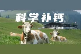 总怀疑宝宝缺钙，关于补钙妈妈必须知道的事！图片