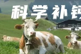 总怀疑宝宝缺钙，关于补钙妈妈必须知道的事！图片