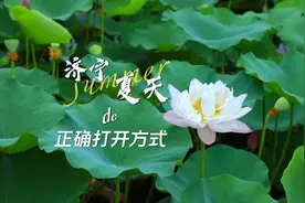 更济宁 | 济宁夏天的正确打开方式图片