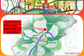 黄陂人建议，位于武湖的长江大学城，应该有一条书香大道图片