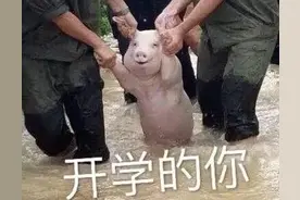 适合开学发的沙雕文案图片