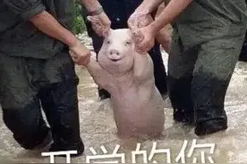 适合开学发的沙雕文案图片