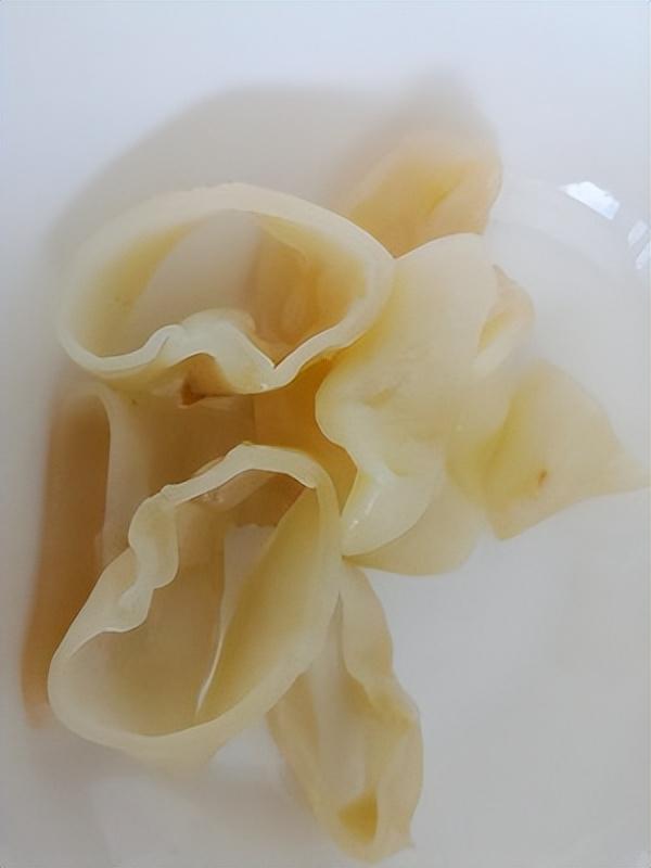 红菇花胶排骨汤的做法大全 2026年红菇花胶排骨汤的做法大全视频 红菇花胶排骨汤的做法大全 2026年红菇花胶排骨汤的做法大全视频