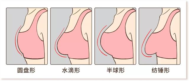 女生的胸有几种形状?你都见过吗?